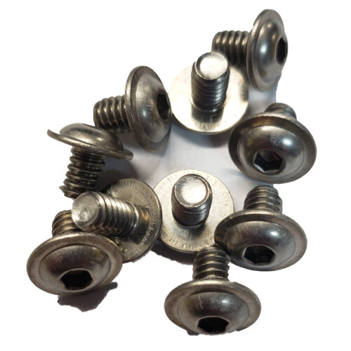 Screw, 1/4-20 BHCS w/flg ss  - 10 pack