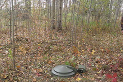 Bait Cover_intro.wmv